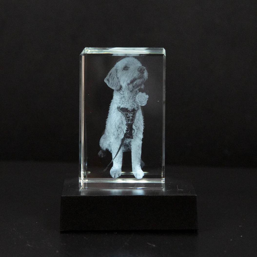 Customizable Crystal Pet Memorial Keepsake