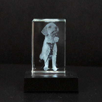 Customizable Crystal Pet Memorial Keepsake