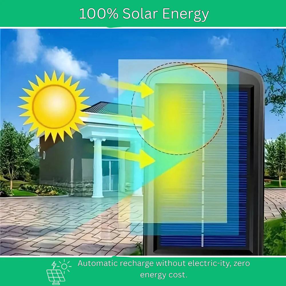 Eco-Friendly Motion-Activated Outdoor Wall Light