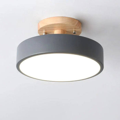 Adjustable Color Temperature Ceiling Light for Any Room