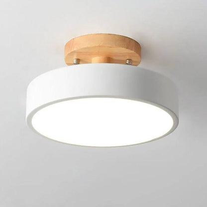 Adjustable Color Temperature Ceiling Light for Any Room