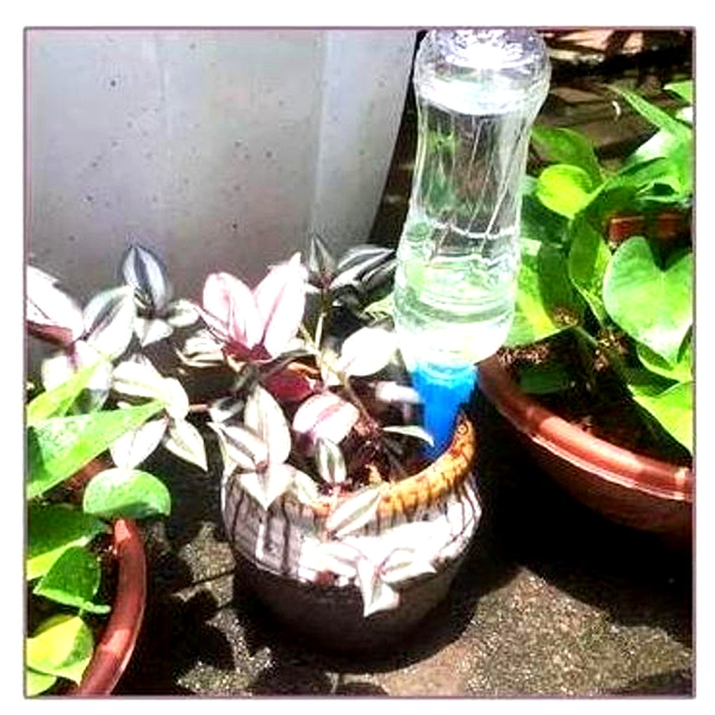 Self-Watering Spikes with Flow Control and Bottle Adapter - 12 Pack