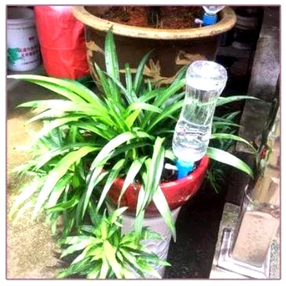 Self-Watering Spikes with Flow Control and Bottle Adapter - 12 Pack