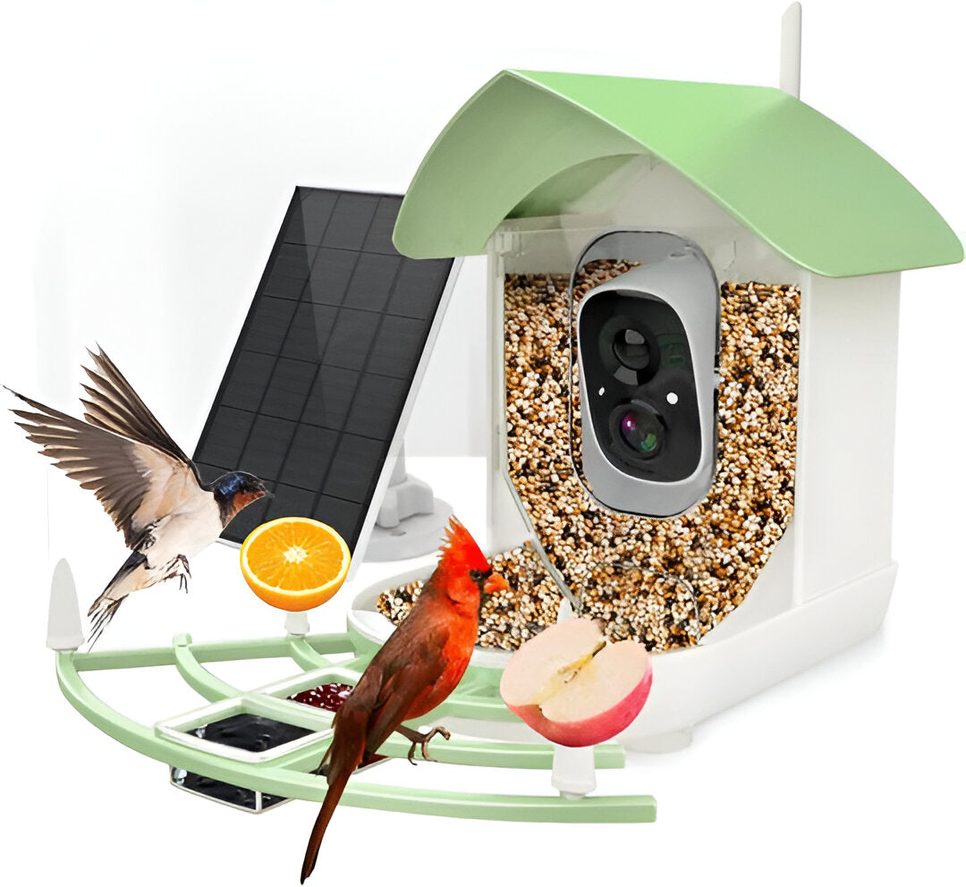 Smart Bird Feeder with HD Camera and Solar Power