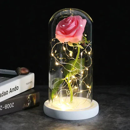Everlasting Rose in Illuminated Glass Dome Display