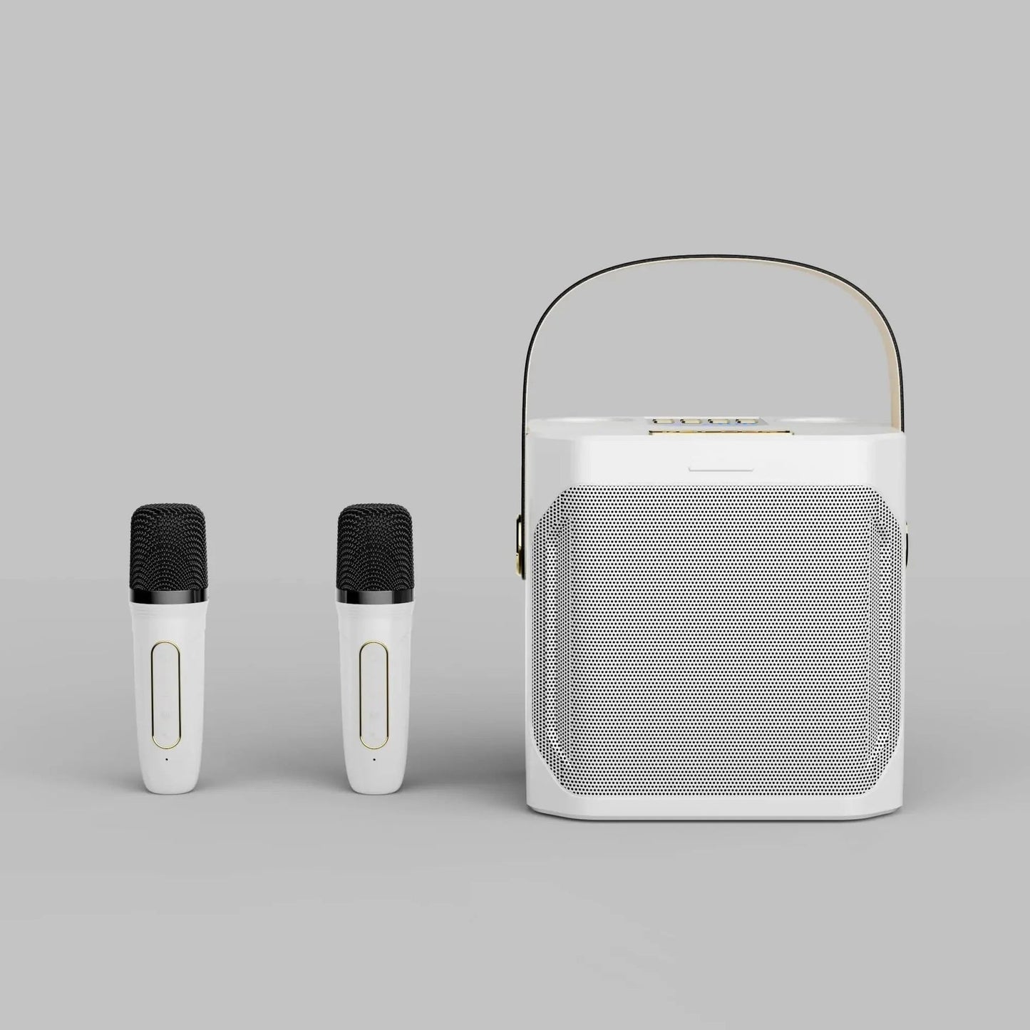 All-in-One Karaoke Speaker with Surround Sound & Dual Mics