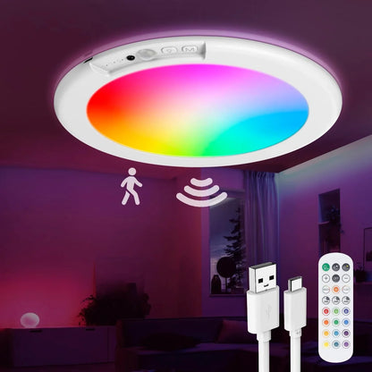 Wireless Motion-Activated LED Ceiling Light for Any Space
