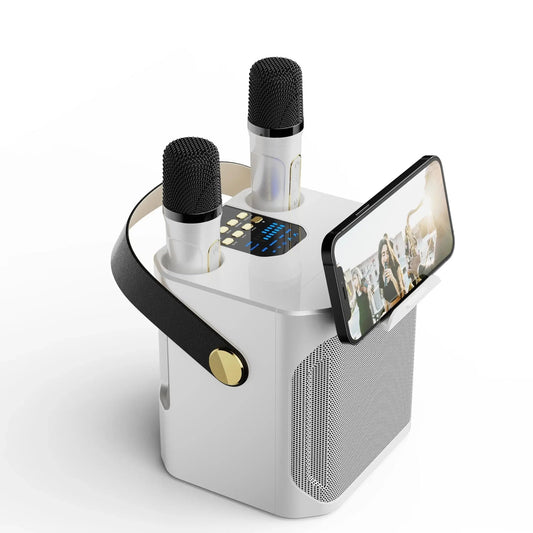 All-in-One Karaoke Speaker with Surround Sound & Dual Mics