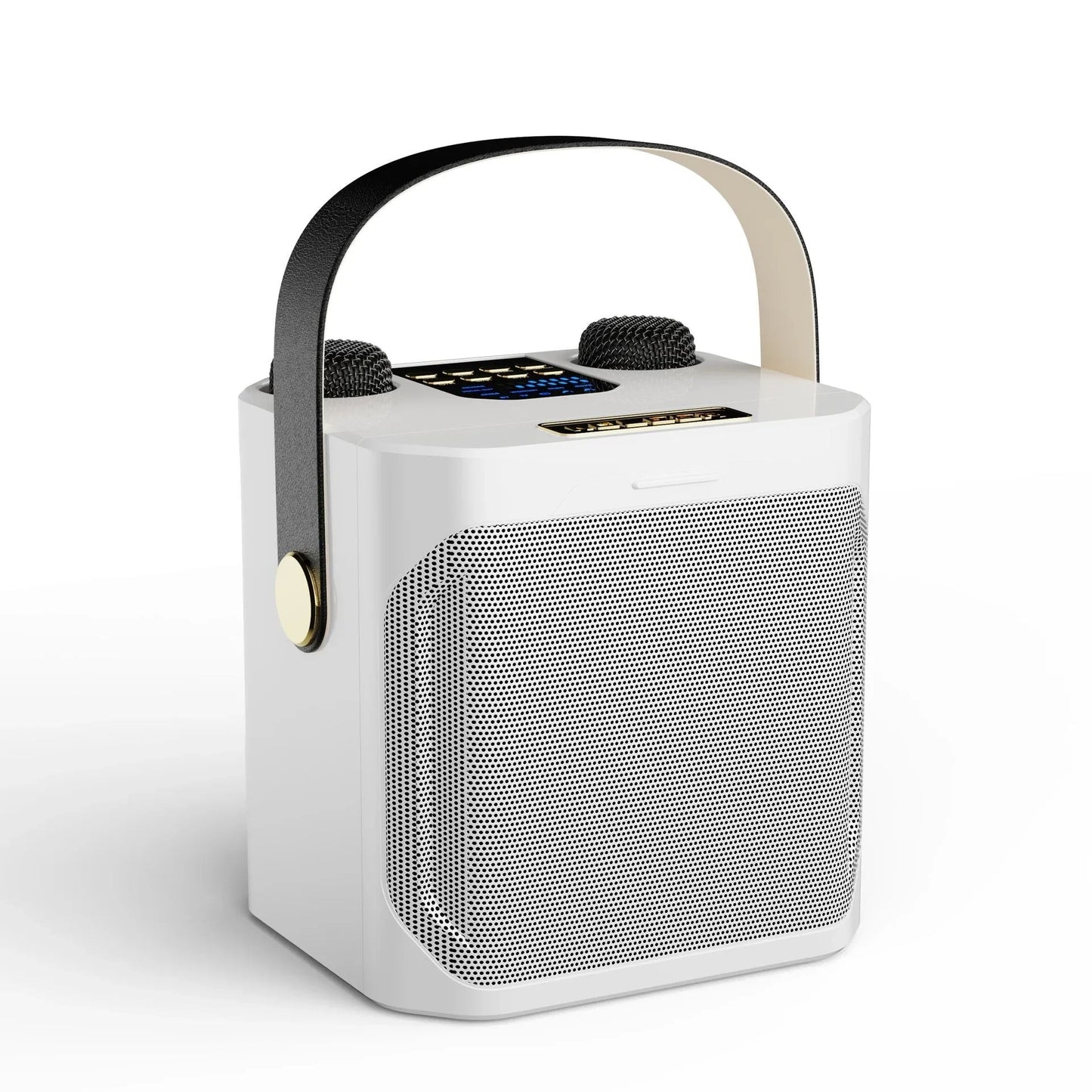 All-in-One Karaoke Speaker with Surround Sound & Dual Mics