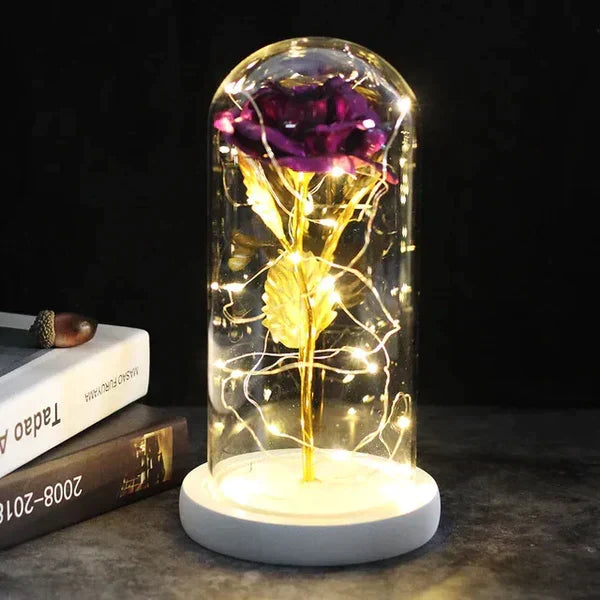Everlasting Rose in Illuminated Glass Dome Display