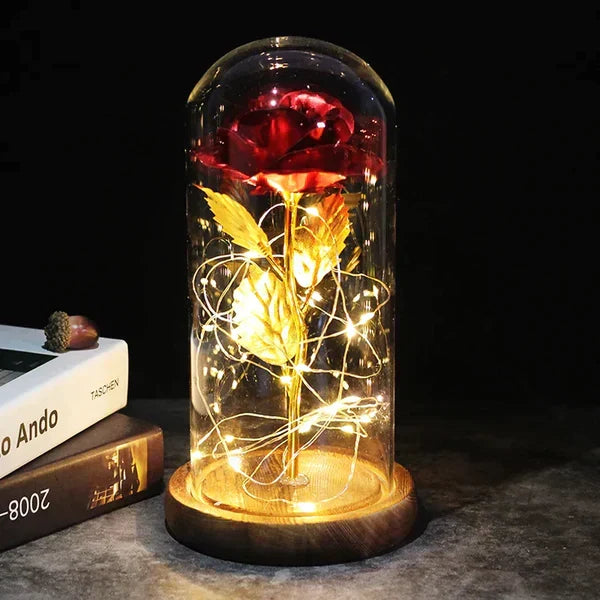 Everlasting Rose in Illuminated Glass Dome Display