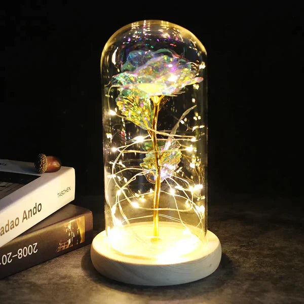 Everlasting Rose in Illuminated Glass Dome Display