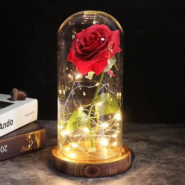 Everlasting Rose in Illuminated Glass Dome Display