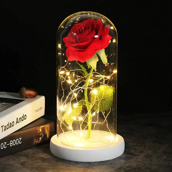 Everlasting Rose in Illuminated Glass Dome Display
