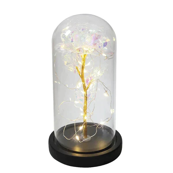 Everlasting Rose in Illuminated Glass Dome Display