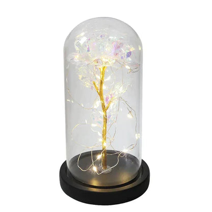 Everlasting Rose in Illuminated Glass Dome Display