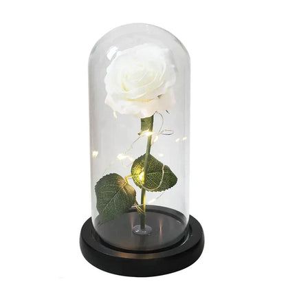 Everlasting Rose in Illuminated Glass Dome Display
