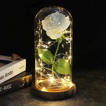 Everlasting Rose in Illuminated Glass Dome Display