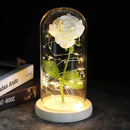 Everlasting Rose in Illuminated Glass Dome Display
