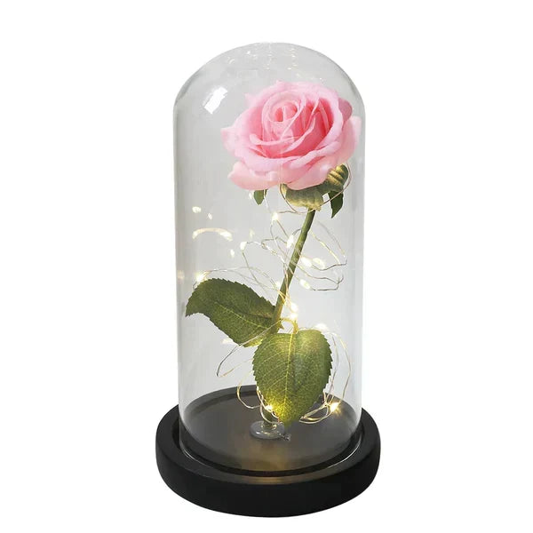 Everlasting Rose in Illuminated Glass Dome Display