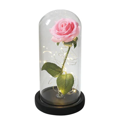Everlasting Rose in Illuminated Glass Dome Display